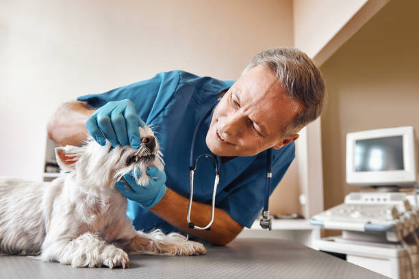 Best Broken Tooth Emergency  in Wakefield, NE